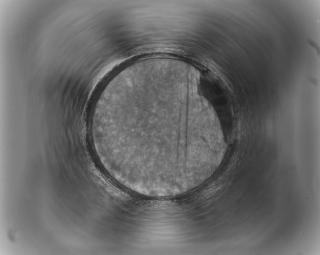 X0000101151024200807251043