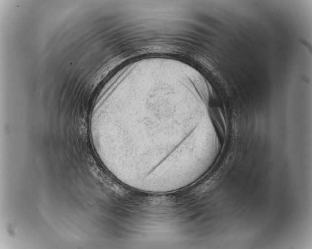 X0000101151025200807251043
