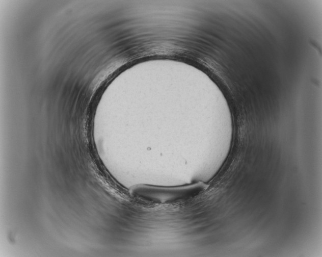 X0000101151026200807251043