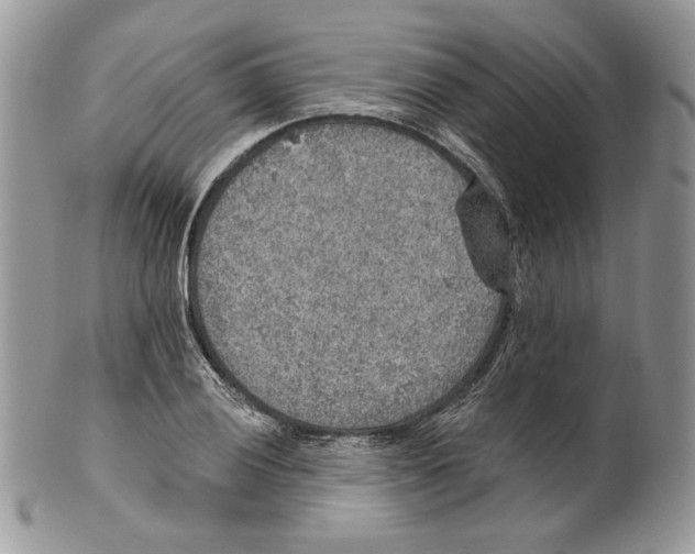 X0000101151028200807251043