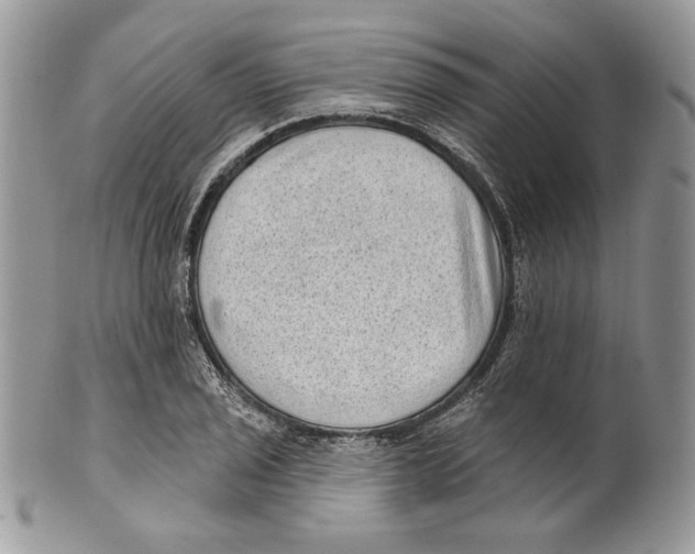 X0000101151029200807251043