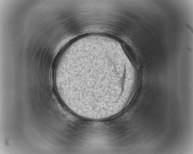 X0000101151030200807251043