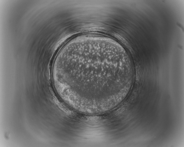 X0000101151031200807251044