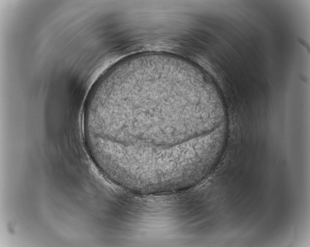 X0000101151032200807251044