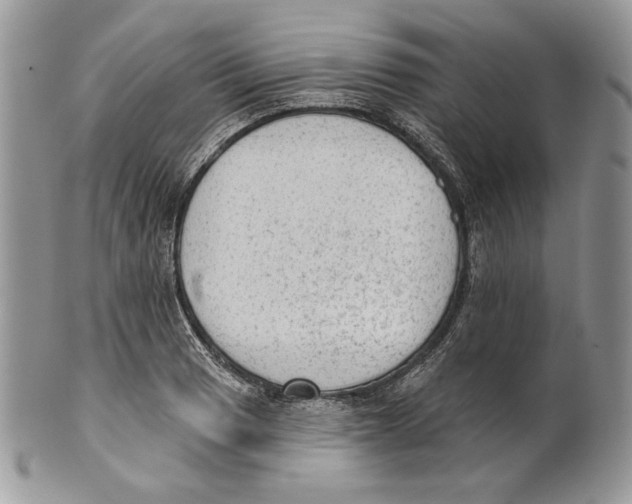 X0000101151033200807251044