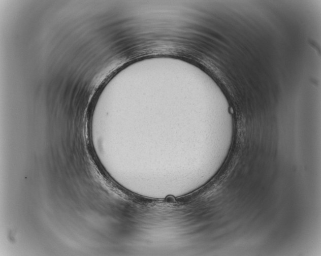 X0000101151034200807251044