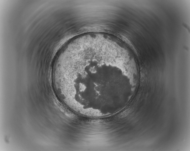 X0000101151035200807251044