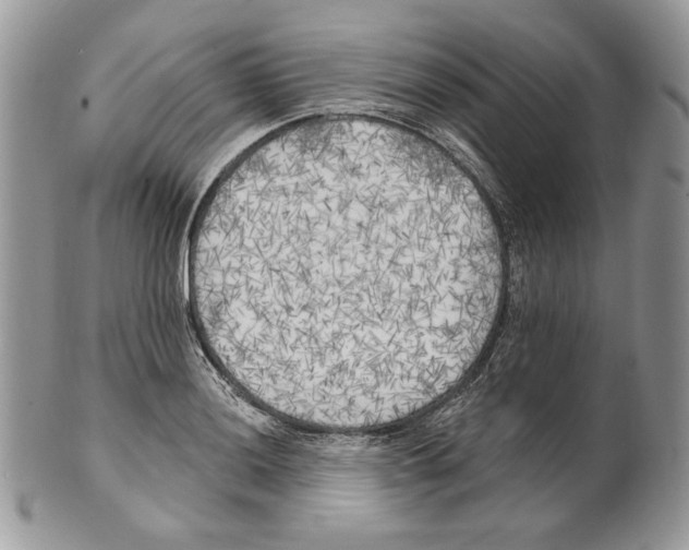 X0000101151036200807251044