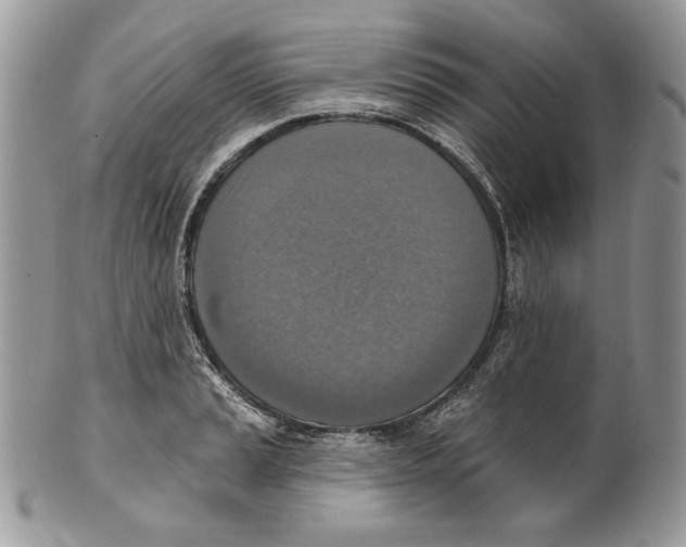 X0000101151037200807251044