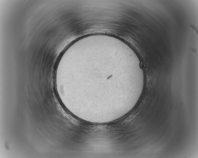 X0000101151038200807251044