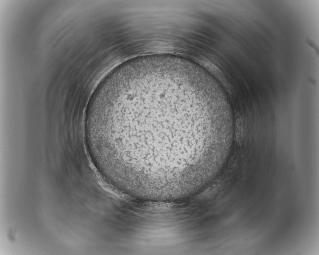 X0000101151039200807251044