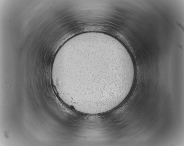 X0000101151041200807251044