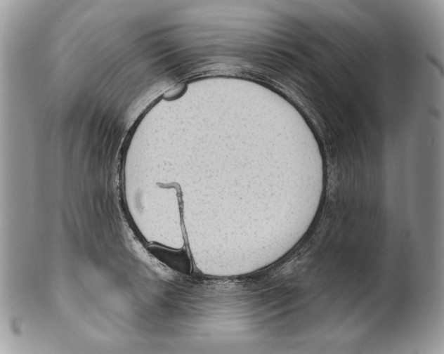 X0000101151042200807251044