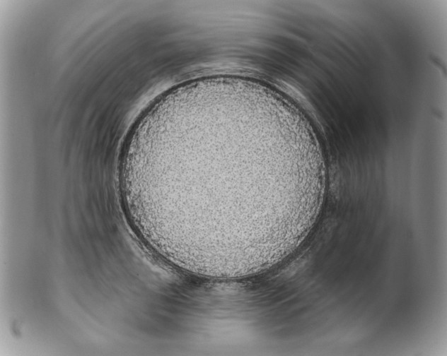 X0000101151043200807251044