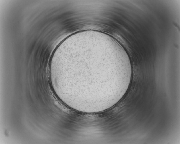 X0000101151044200807251044