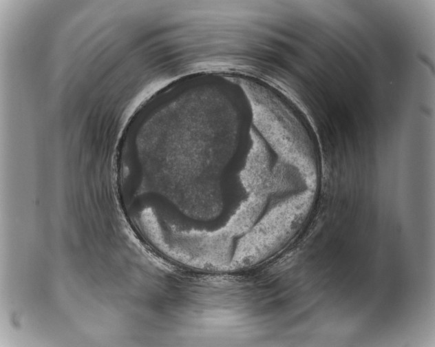 X0000101151045200807251044