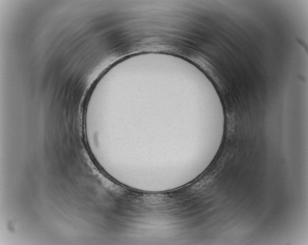 X0000101151046200807251044