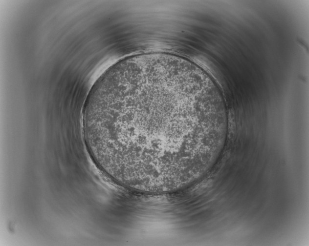 X0000101151047200807251044