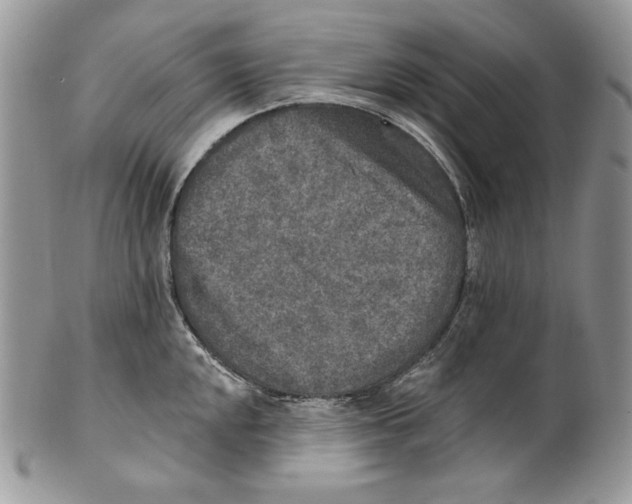 X0000101151048200807251044