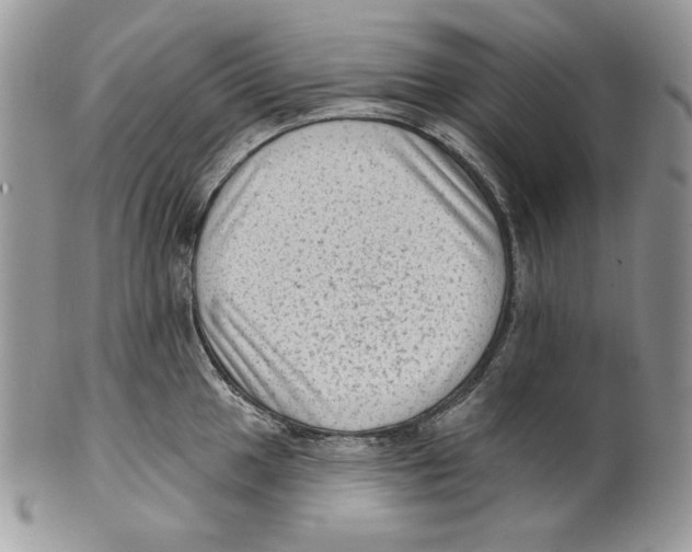 X0000101151049200807251044