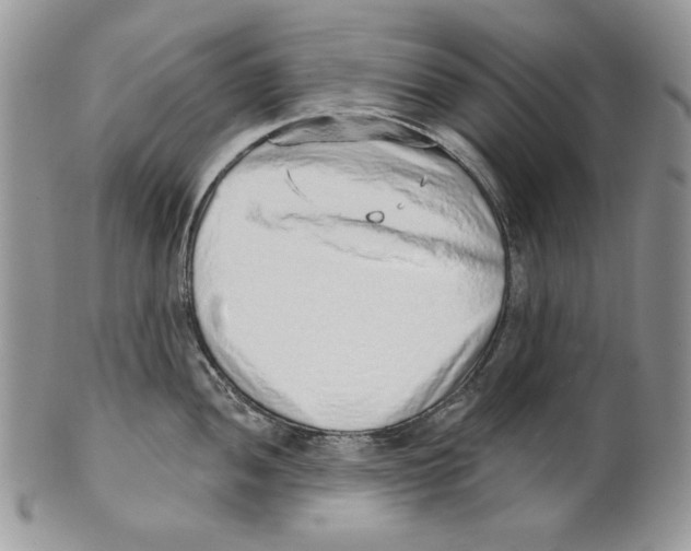 X0000101151052200807251044