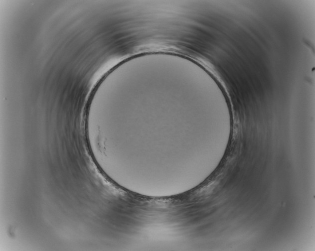 X0000101151053200807251044