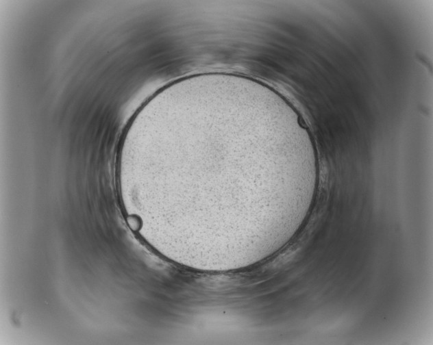 X0000101151054200807251044