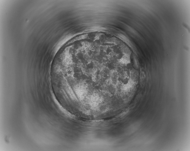 X0000101151055200807251044