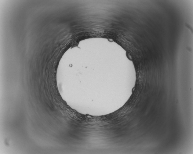 X0000101151057200807251043