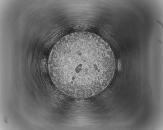 X0000101151059200807251043