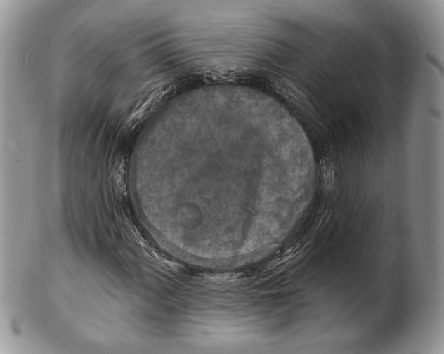 X0000101151060200807251043