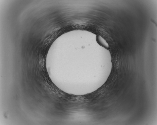 X0000101151061200807251043
