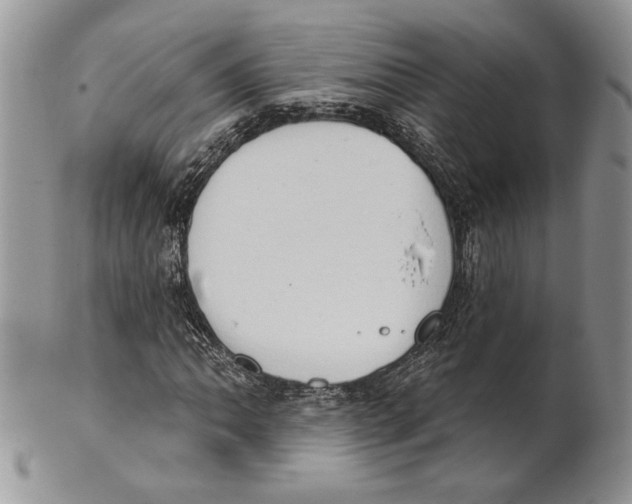 X0000101151062200807251043