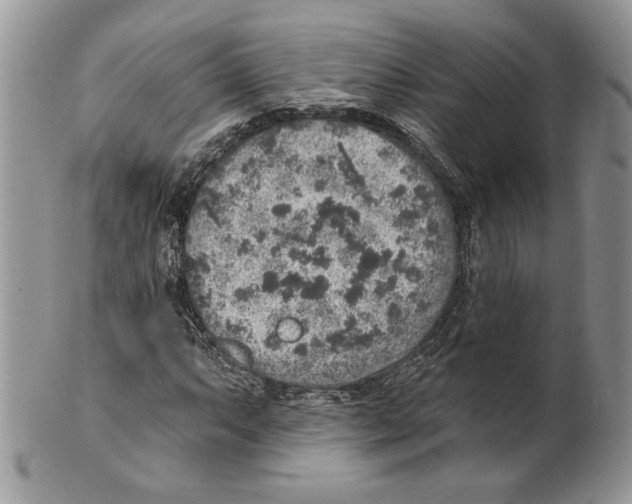 X0000101151063200807251043
