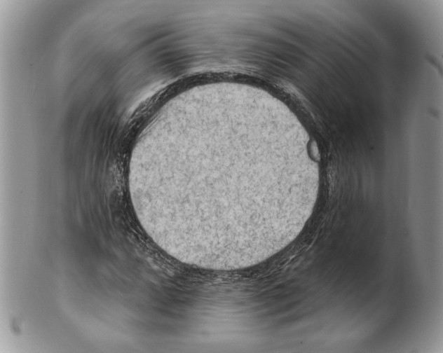 X0000101151064200807251043