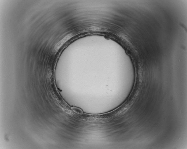 X0000101151065200807251043