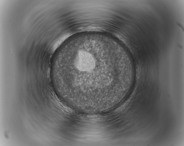 X0000101151066200807251043