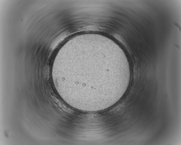 X0000101151067200807251043