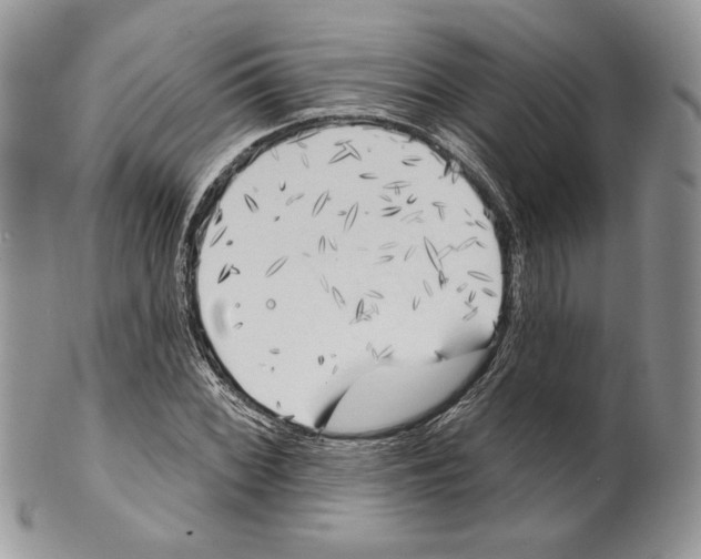 X0000101151068200807251043