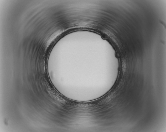 X0000101151069200807251043