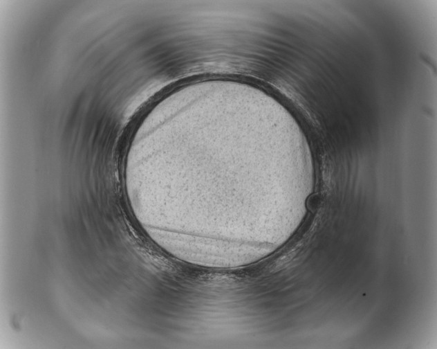 X0000101151070200807251043
