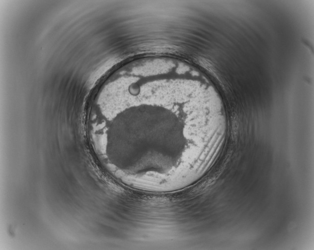 X0000101151071200807251043