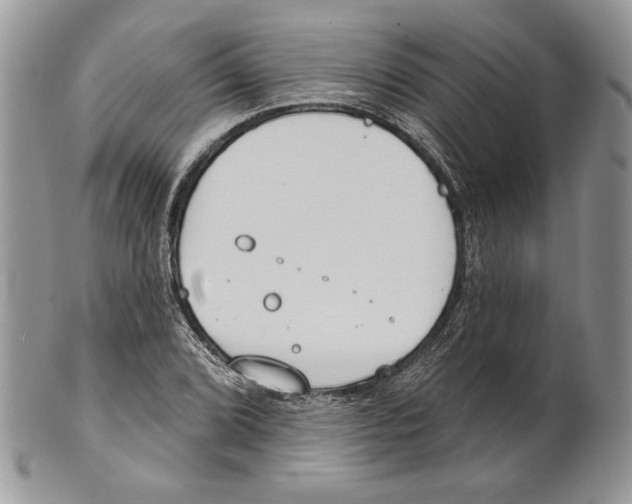 X0000101151072200807251043