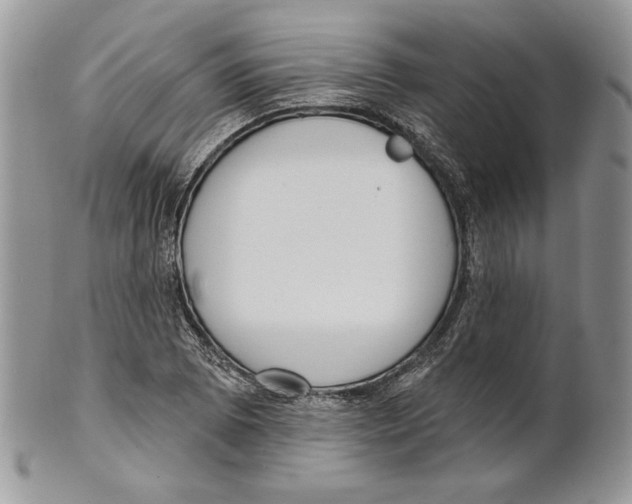 X0000101151073200807251043