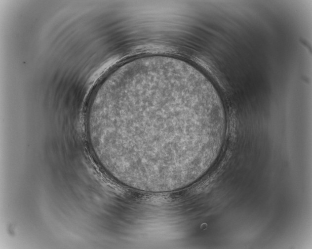 X0000101151074200807251043