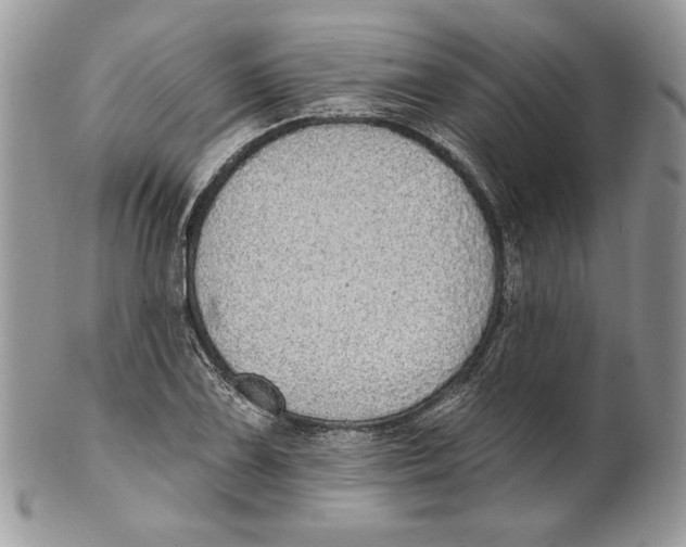 X0000101151075200807251043