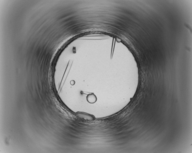 X0000101151076200807251043