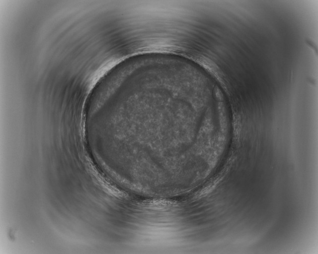 X0000101151077200807251043