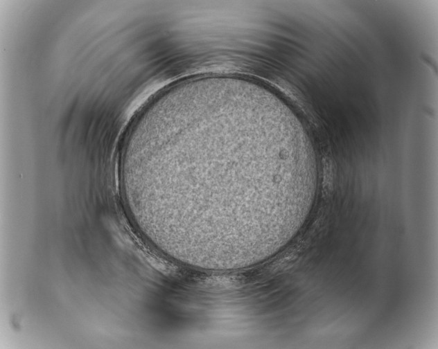 X0000101151078200807251043