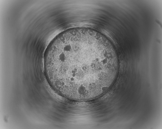 X0000101151079200807251043